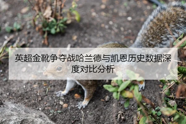 英超金靴争夺战哈兰德与凯恩历史数据深度对比分析